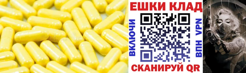 kraken сайт Алзамай Экстази Philipp Plein магазин