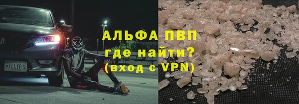 прущие грибы Новочеркасск