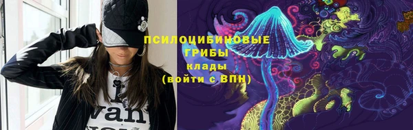 Альфа ПВП Магадан